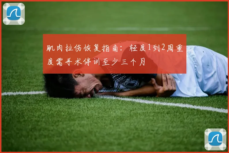 肌肉拉伤恢复指南：轻度1到2周重度需手术停训至少三个月