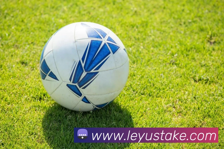 乐鱼体育平台生态图