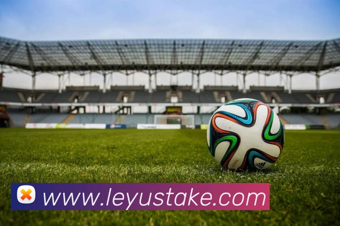 乐鱼体育全站App